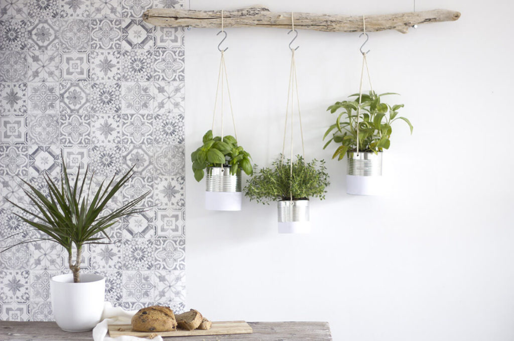 Eco-Friendly Hanging Herb Gardening with Tin Cans: Nature-Inspired Hanging Herb Planting from Dr ...