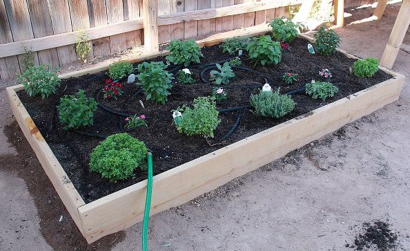 DIY 30-Minute Garden Project: Wonderful Raised Garden Bed Idea with Fresh Wood Planks