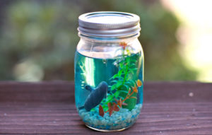 DIY Fascinating Summer Craft Idea for Nature Lovers: Spectacular Mason Jar Aquarium