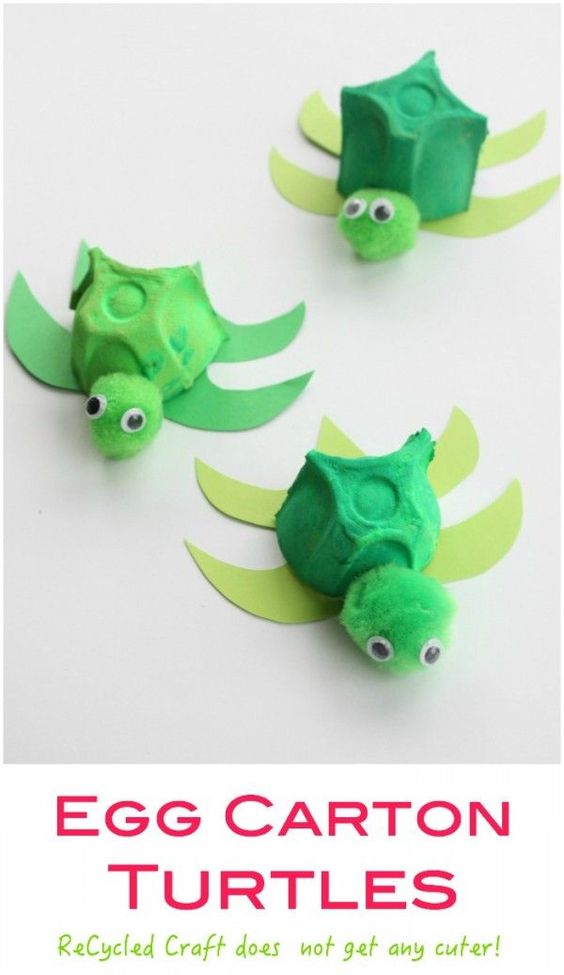 DIY Adorable Turtles with Painted Egg Carton: A Quick & Easy Summer Craft Project in Recycl ...