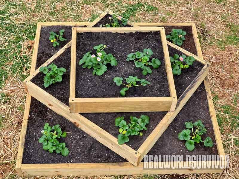 Rustic And Sy Three Tiered Raised, How To Make A Tiered Raised Garden Bed
