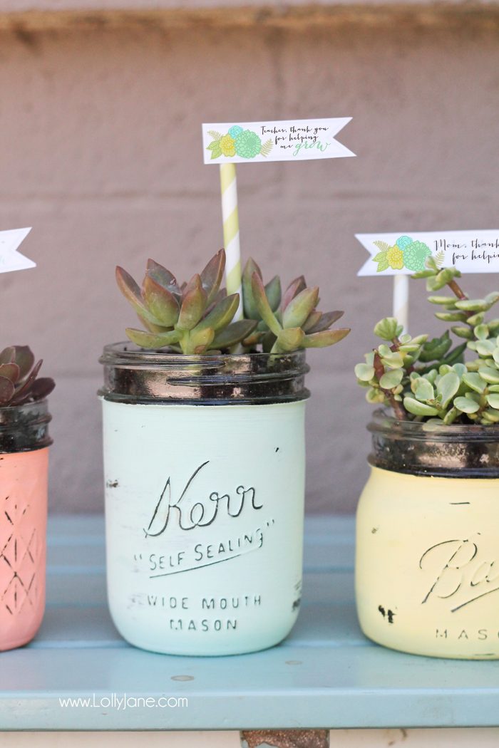 DIY Mason Jar Succulent Pots with Free Printable Gift Tags and Nice Paint Accents