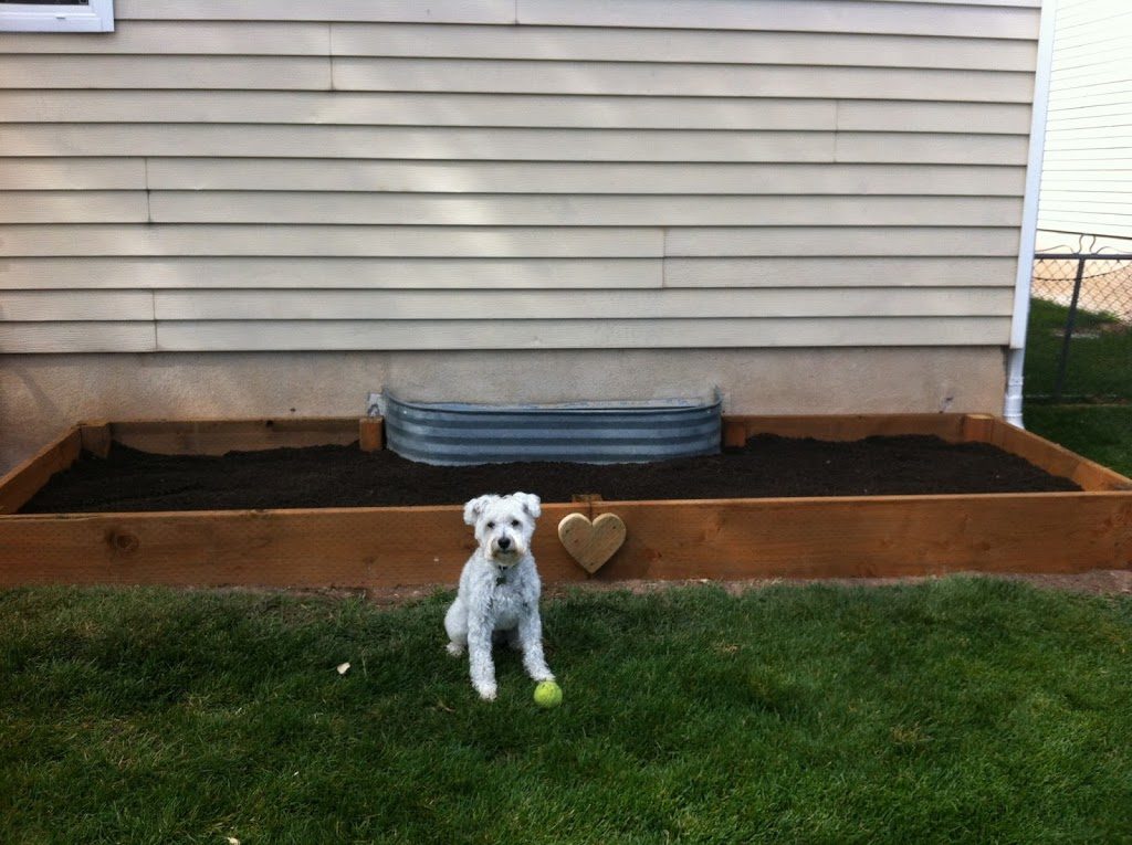 DIY Raised Garden Bed Project with Wooden Frames By Fry Sauce and Grits