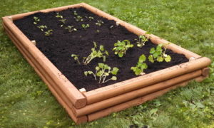 DIY Raised Garden Bed With Landscaping Timbers wit Low Boarders