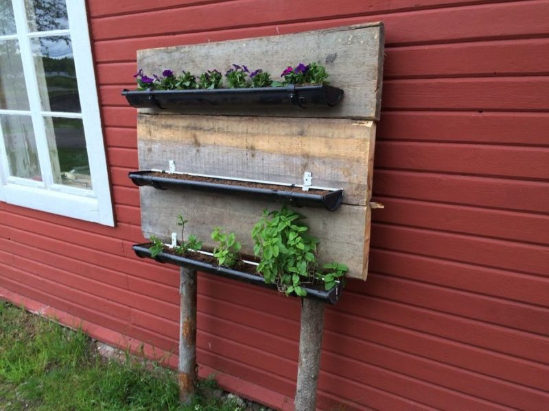 Uniquely Made Vertical Herb Gardening with Narrow Planters Hanging on Rustic Wooden Board Base