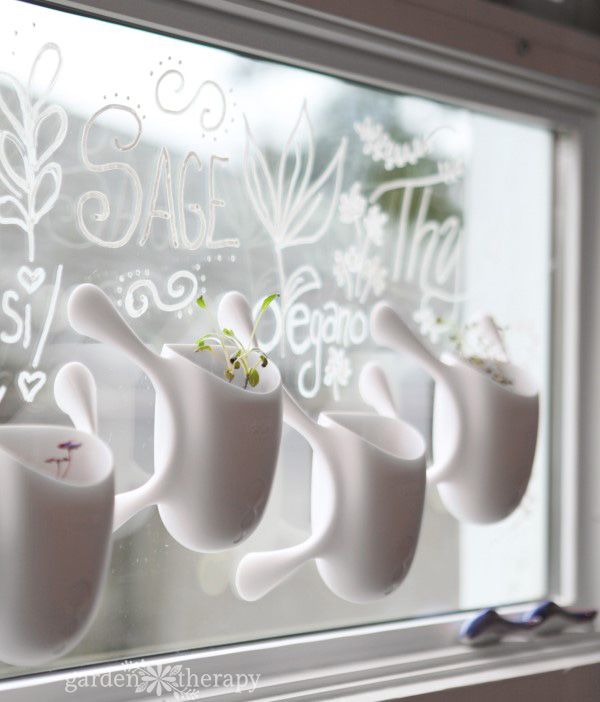 Amazingly Trendy Sticky Window Planter for Indoor Herb Gardening