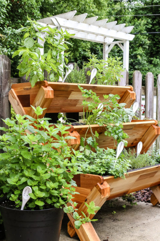 Spectacular Herb Gardening Idea with Three-Tiered Wooden Planter Box for Small Garden Areas