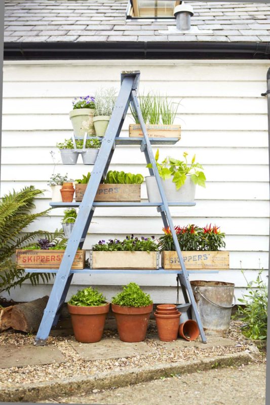 Easy Peasy VErtical Herb Gardening with Upcycled Ladder Using Various Planters Together