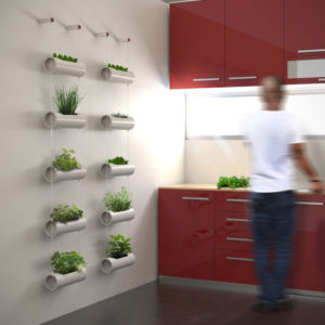 DIY Wall-Hanging Indoor Herb Gardening for Kitchen Area with Minimalistically Designed Pipe Panters