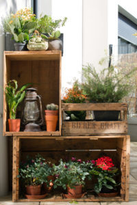 Creative Herb Gardening Idea Inside Old Wooden Crate with Terracotta Planters