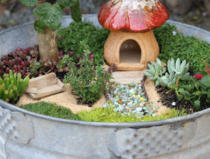 DIY Cheap Dollar Store Fairy Garden Idea In A Large Tin Tub
