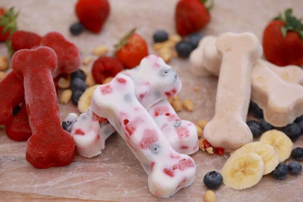 No-Bake Frozen Dog Treat with The Goodness of Sugary Fruits: DIY Dog Food with Fruity Flavor