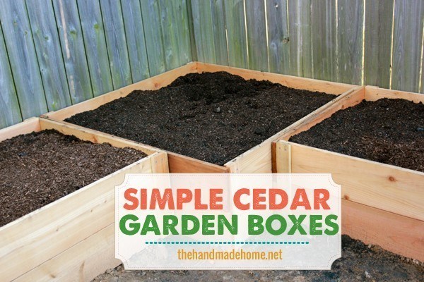 DIY Garden Box Raised Bed in Bunch with Cedar Boards: Easy Gardening Project