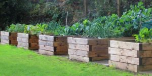 Raised Bed Instructions with Rustic Old Pallets: A Cheap DIY Garden Project