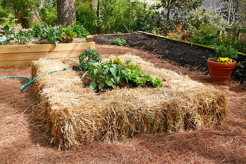 DIY Raised Bed from Bales of Straw: The Cheapest Raised Bed Planter Idea for Outdoor Gardeners