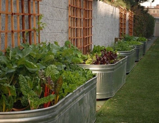 Large DIY Raised Garden Bed with Watering Trough in Attached Trellis Pattern