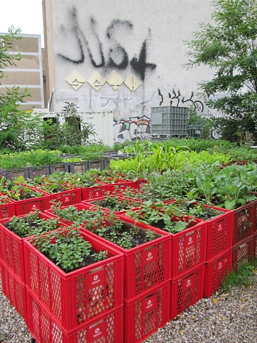 DIY Raised Garden Planter in Metallic Milk Crates: A Colorful Raised Bed Idea with Repurpose Mat ...