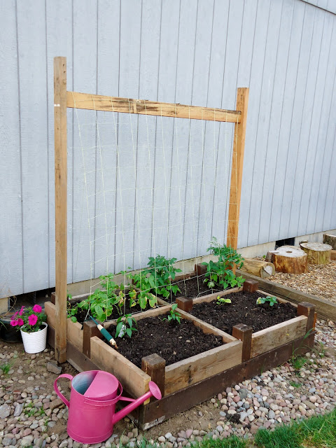 The Subdivided Raised Bed with Attached Growing Wire: Best DIY Raised Garden Planter for Climbin ...
