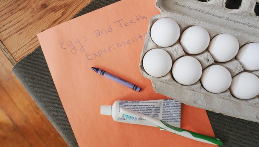 Science Experiments With Toothpaste and Eggs: DIY Daily Challange Idea for Kids
