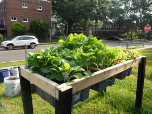 Self-Watering Veggie Table: DIY Lifted Raised Garden Bed Project with Self-Watering Facility