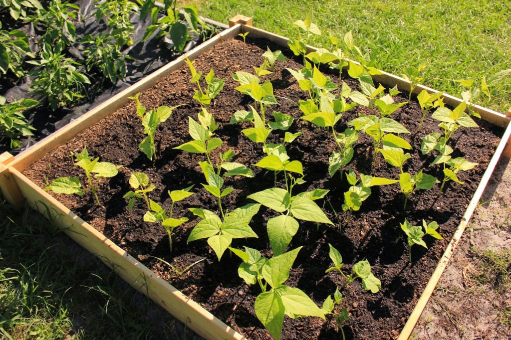 Simply Easy DIY: Raised Garden Bed with Wood in Nice Square Shape