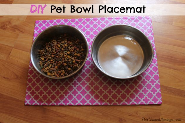 DIY Pet Bowl Placemat: A Cheap and Useful DIY Craft Idea with Colorful Contact Paper