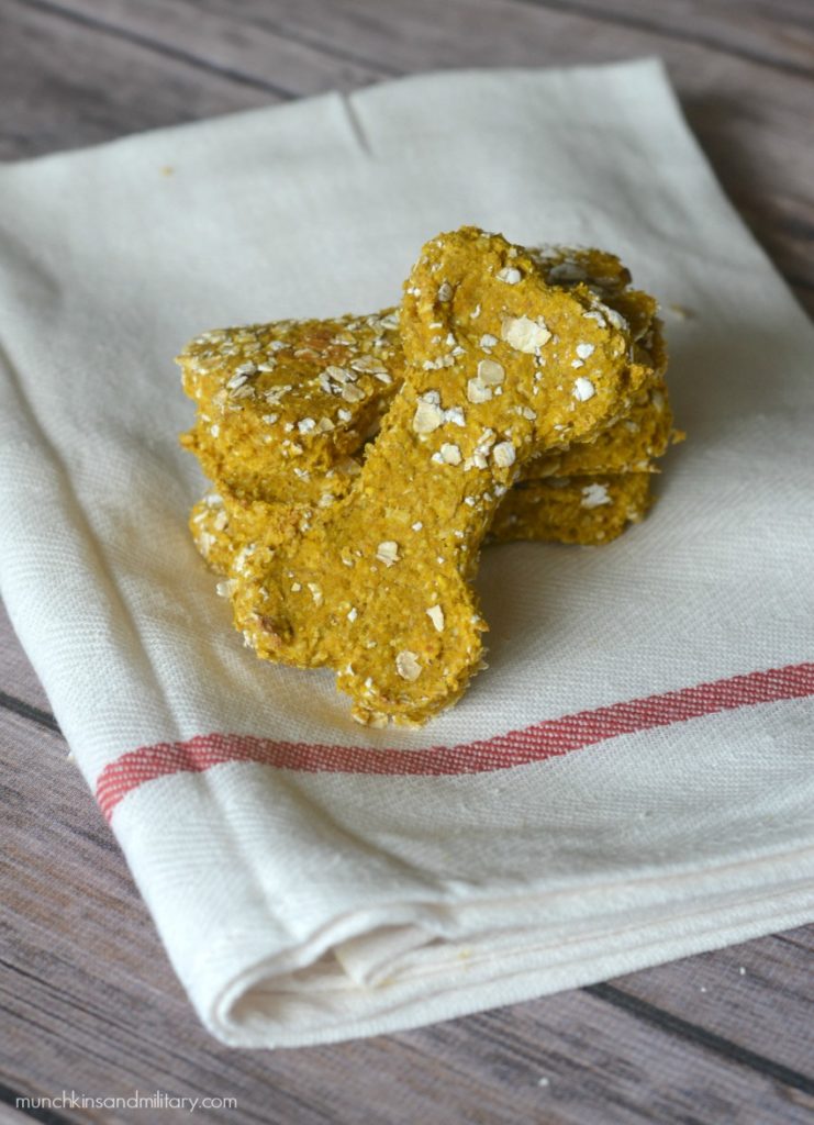 Pumpkin Puree Apple Oatmeal Homemade Dog Treats Rich in Fibre and