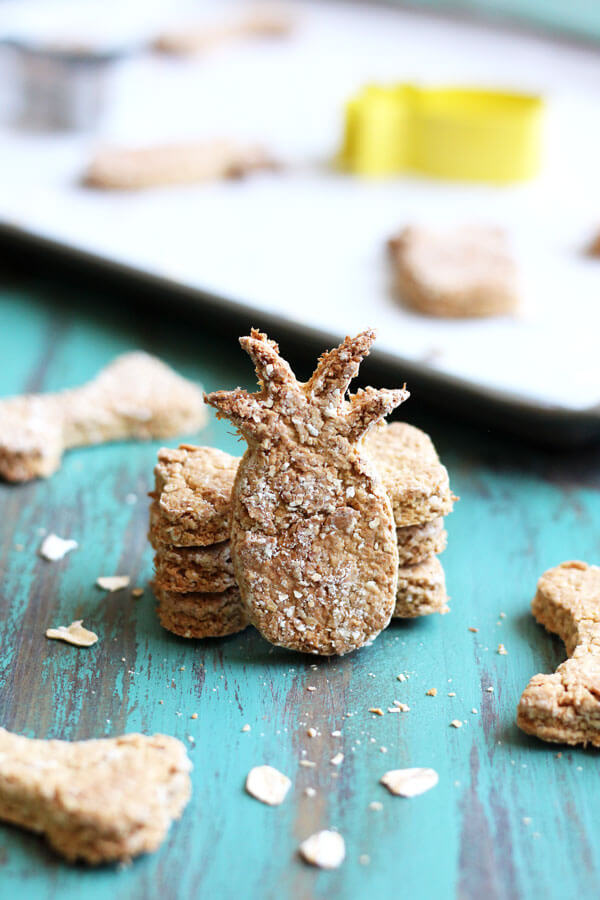 tropical-fresh-pineapple-coconut-oil-oat-flour-dog-treats-truly-hand