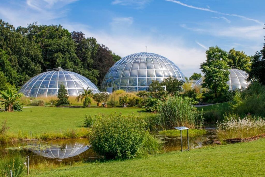 Botanical Garden (University of Zurich) Swiss Things to Do