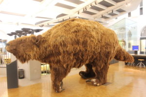 Zoological Museum of the University of Zurich, Switzerland Tourism