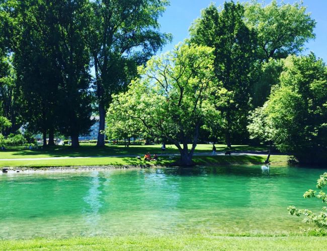 Landiwiese in Zürich – Switzerland Parks to Walk Swim Relax