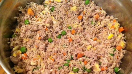 Homemade Dog Food Recipe - Ground Turkey Rice and Veggies - Truly Hand