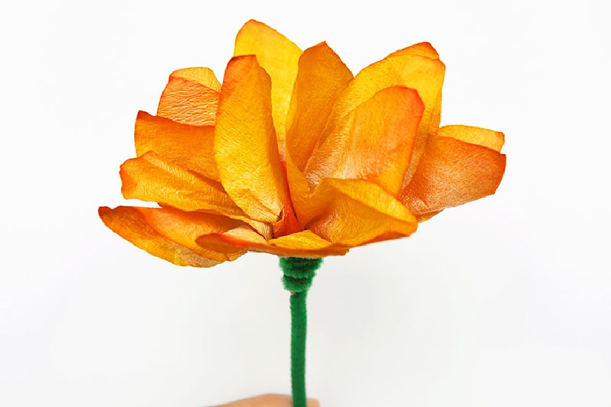 Coffee Filter and Pipe cleaner Flower Crafts step by step