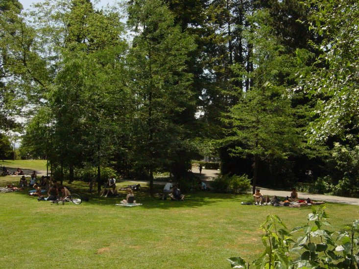 Arboretum Zurich Lakeside park & botanical garden – Swiss Places to Visit
