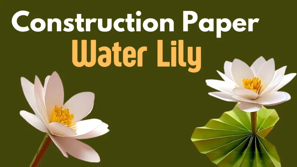 DIY Construction Paper Water Lily - Youtube Tutorial