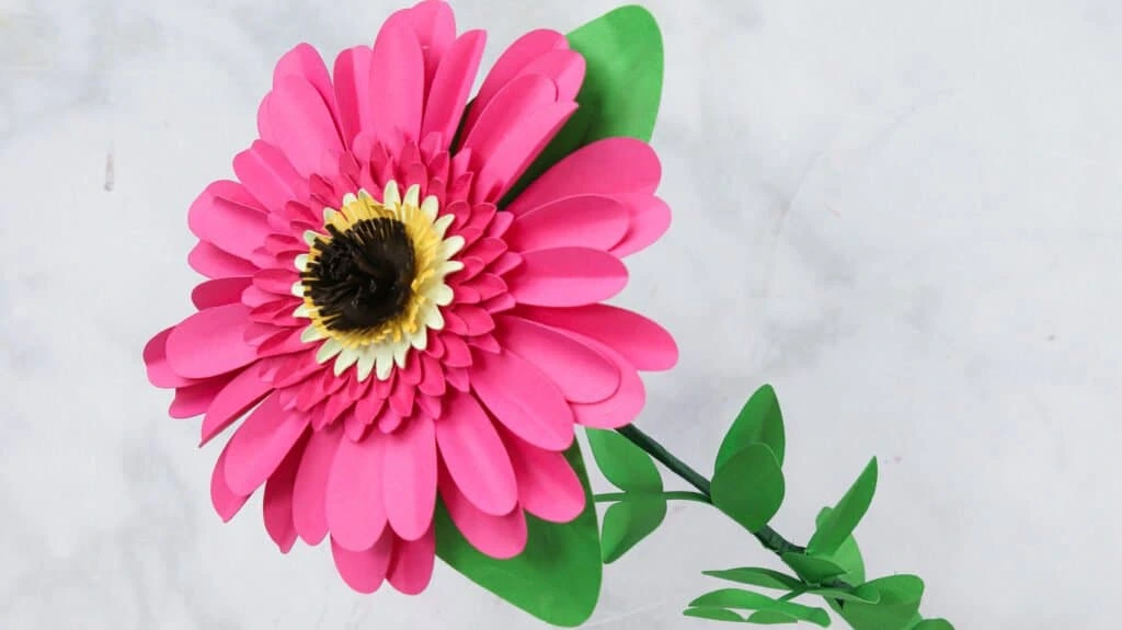 Paper Gerbera Flowers Tutorial-cut-out-flowers